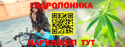 крисы Будённовск