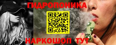 крисы Будённовск